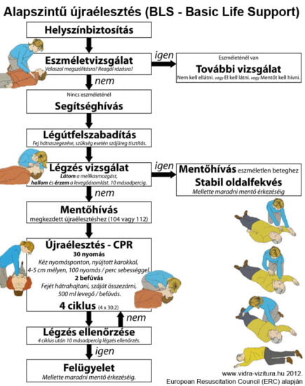 BLS ujraelesztes folyamatabra