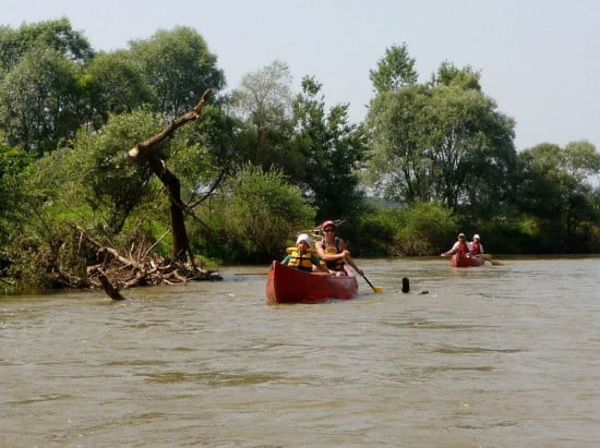 ZWC - Rába (Magyarország)