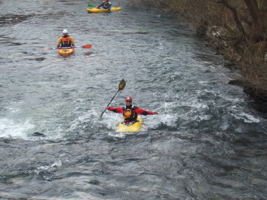 vadmagyar_krka_090301_38