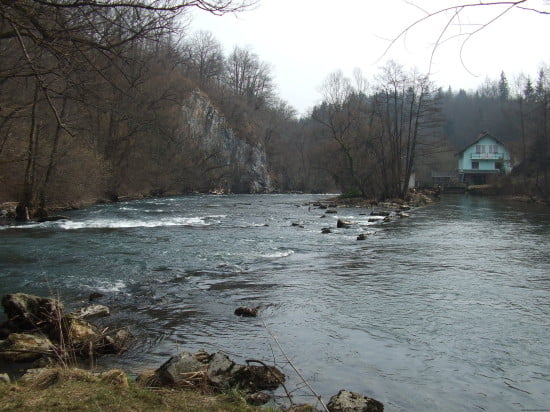 vadmagyar_krka_090301_50