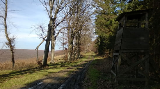 Ez a hely pont 4 kilométerre van a házunktól.