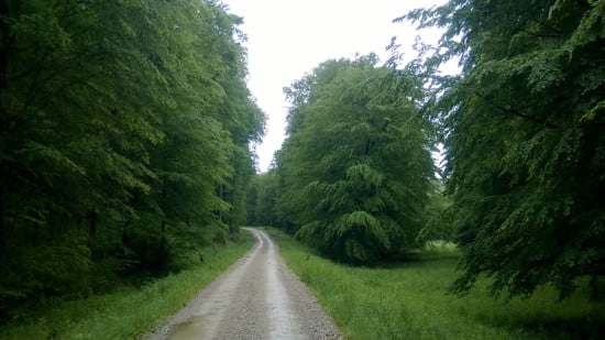 trail_running_esztergnye_oltarc_erdeszetiut_06