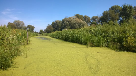 Zalavar_Balatonhidveg_Kis_Balaton_kerekparut_09