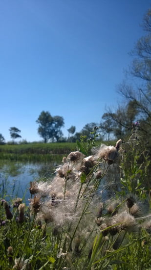 Zalavar_Balatonhidveg_Kis_Balaton_kerekparut_12