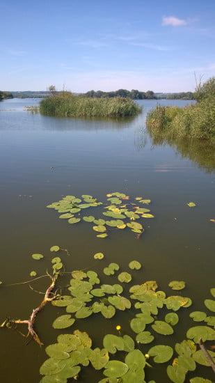 Zalavar_Balatonhidveg_Kis_Balaton_kerekparut_20