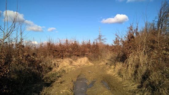 3,7 km-nél nincs jelzés, semmi baj, tartsd az irányt, a pincék között újra lesz.