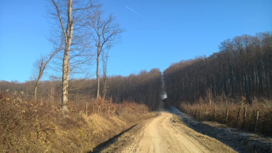 Kéktúra Szentpéterfölde közelében.