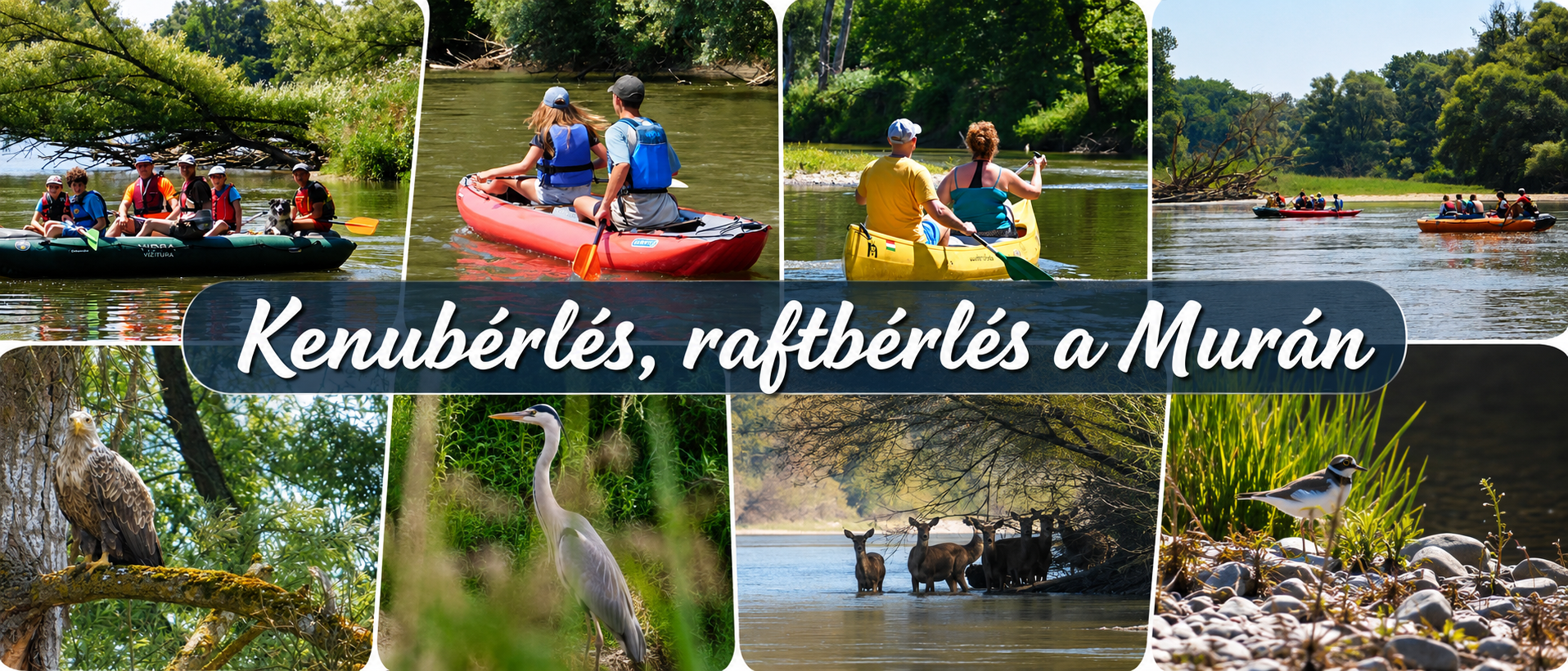 Kenubérlés, raftbérlés a Murán