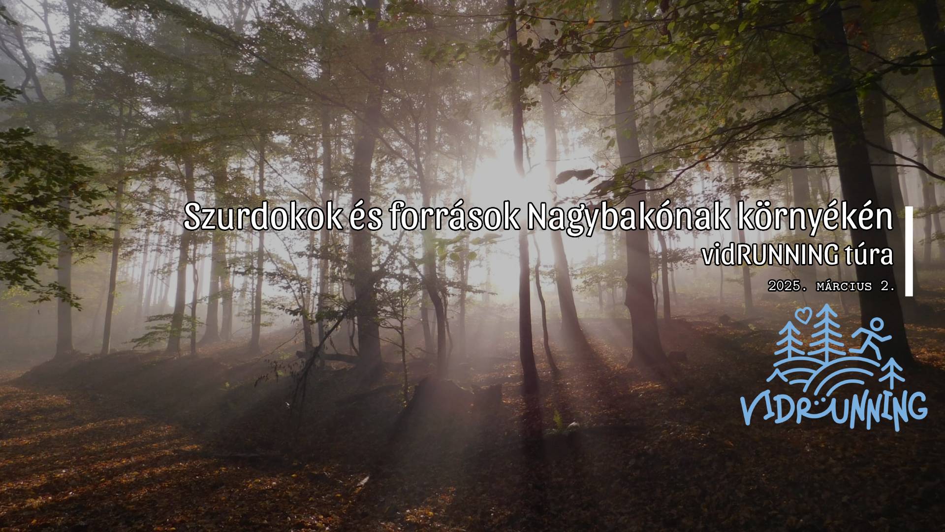 Szurdokok és források Nagybakónak környékén