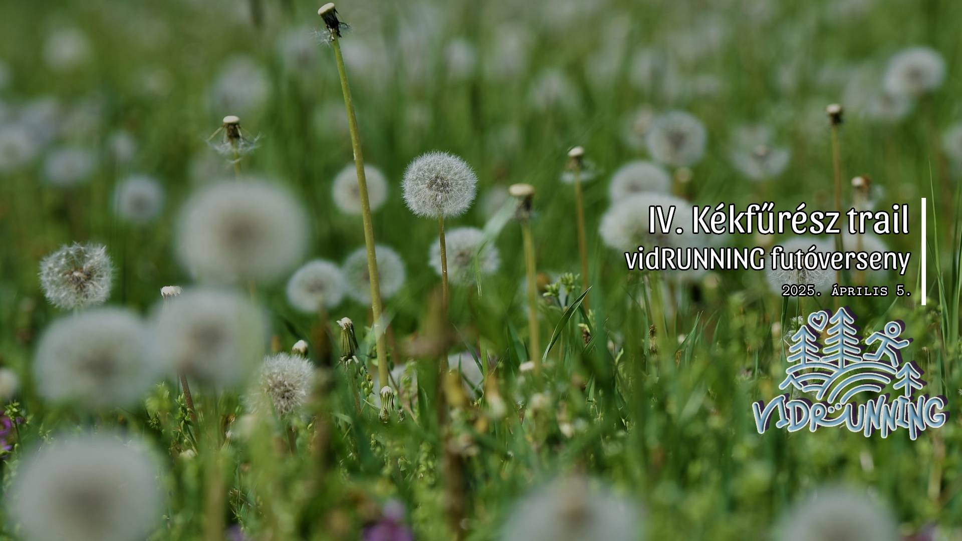 IV. Kékfűrész trail