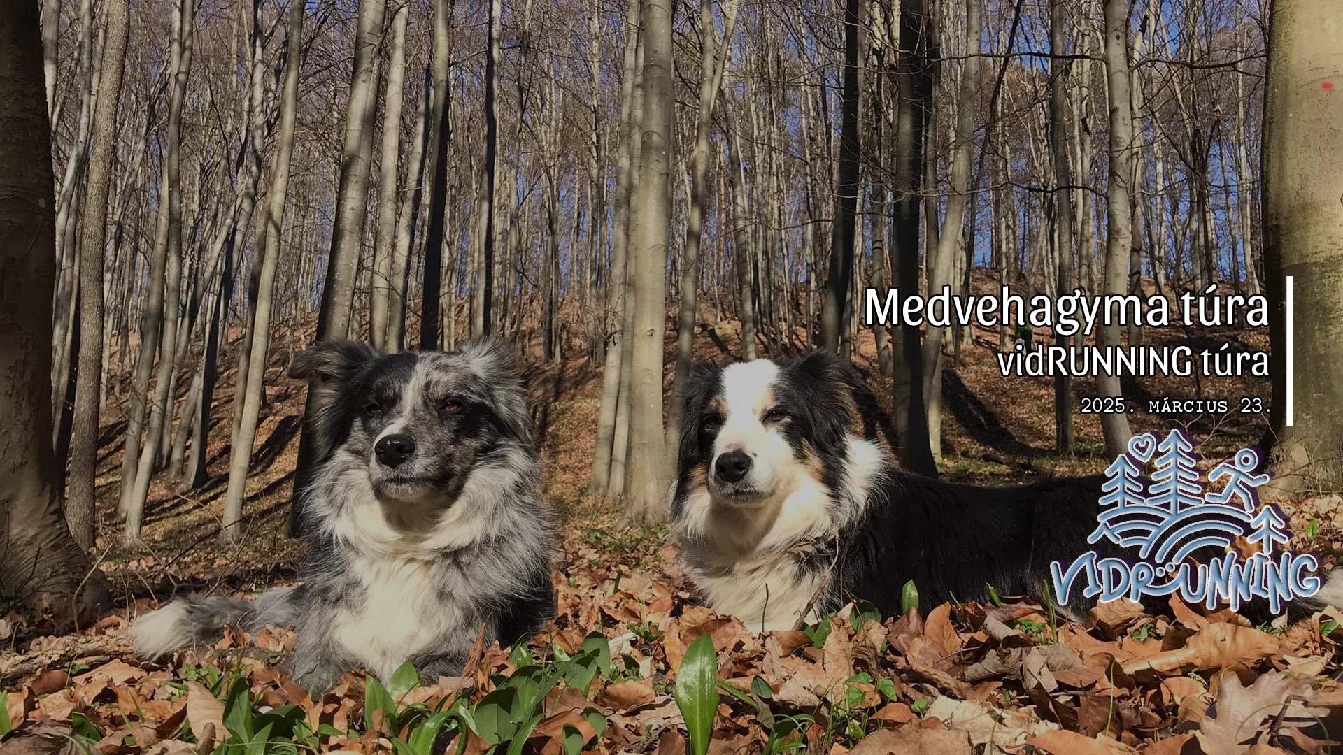 Medvehagyma túra Obornak - vidRUNNING közösségi túra