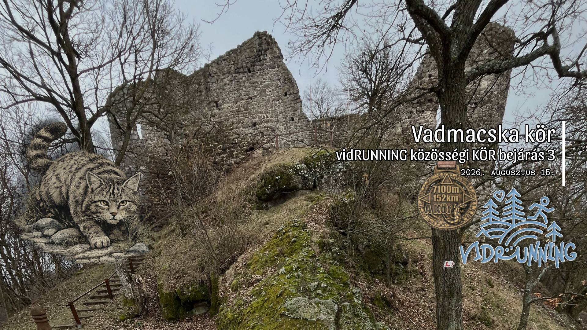 Vadmacska kör - vidRUNNING közösségi Kör bejárás 3.