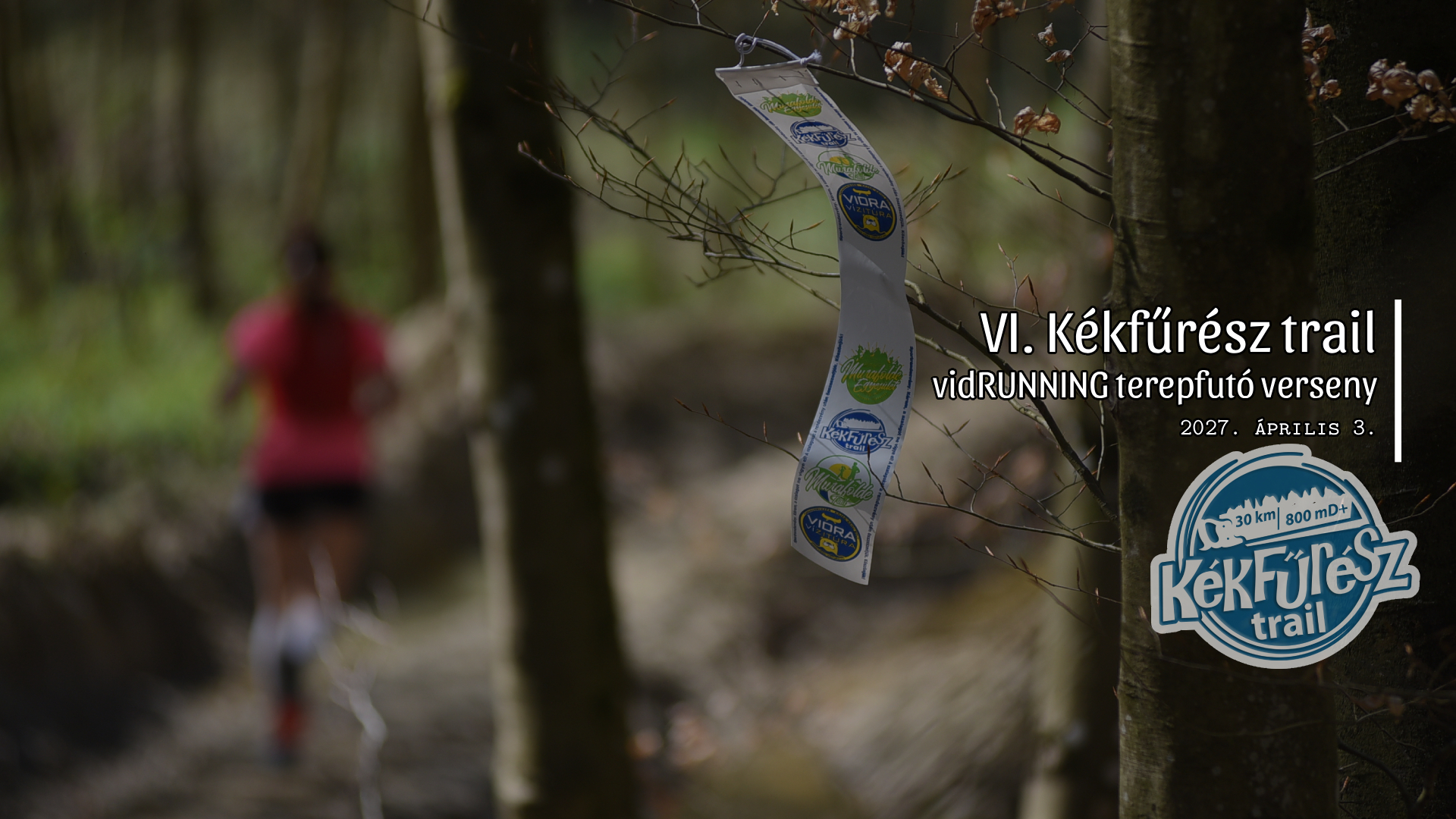 VI. Kékfűrész trail