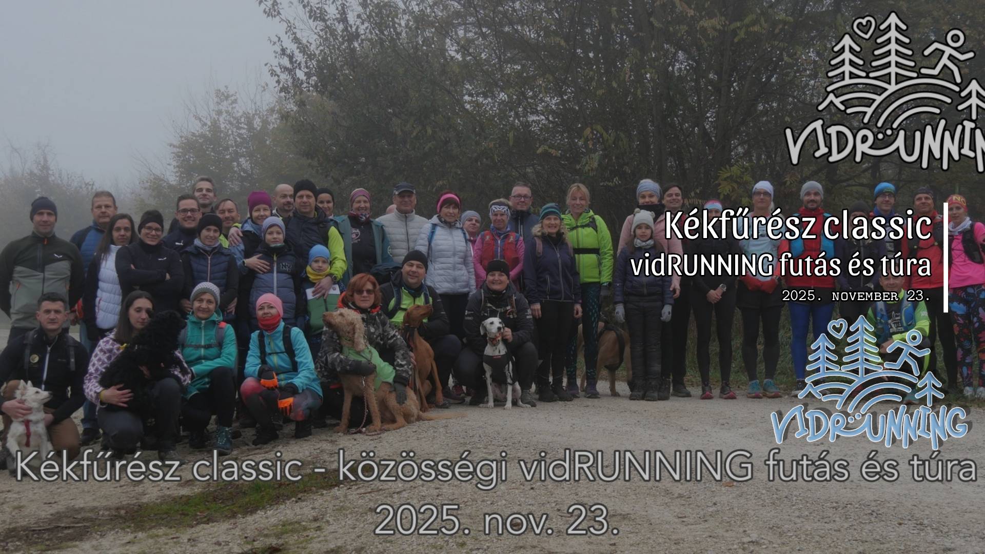 Kékfűrész classic